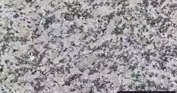 青岛 芙蓉白（芝麻白大花）火烧面