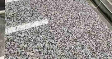 青岛 芙蓉白光面