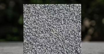 青岛 芝麻黑荔枝面