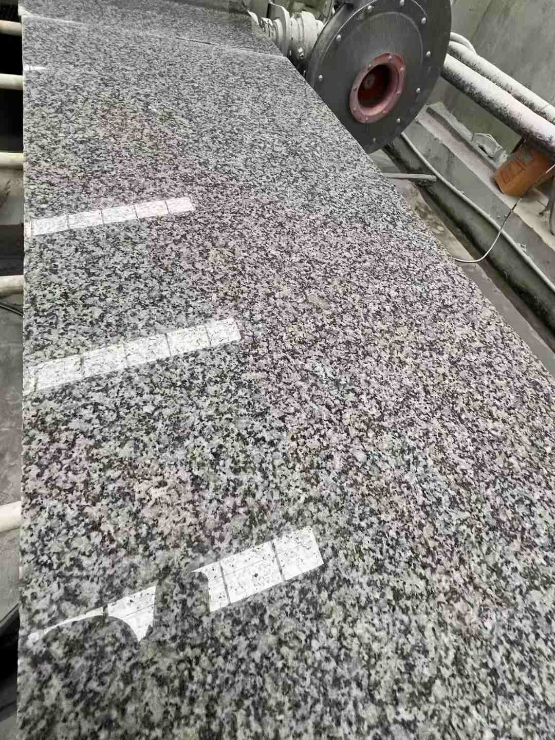 青岛 芙蓉白光面