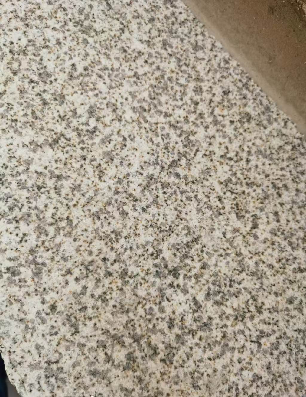 青岛 黄金麻中黄光面