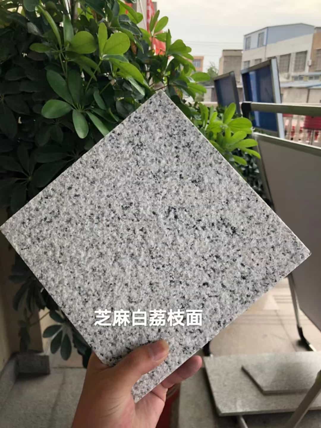青岛 芝麻白荔枝面干挂