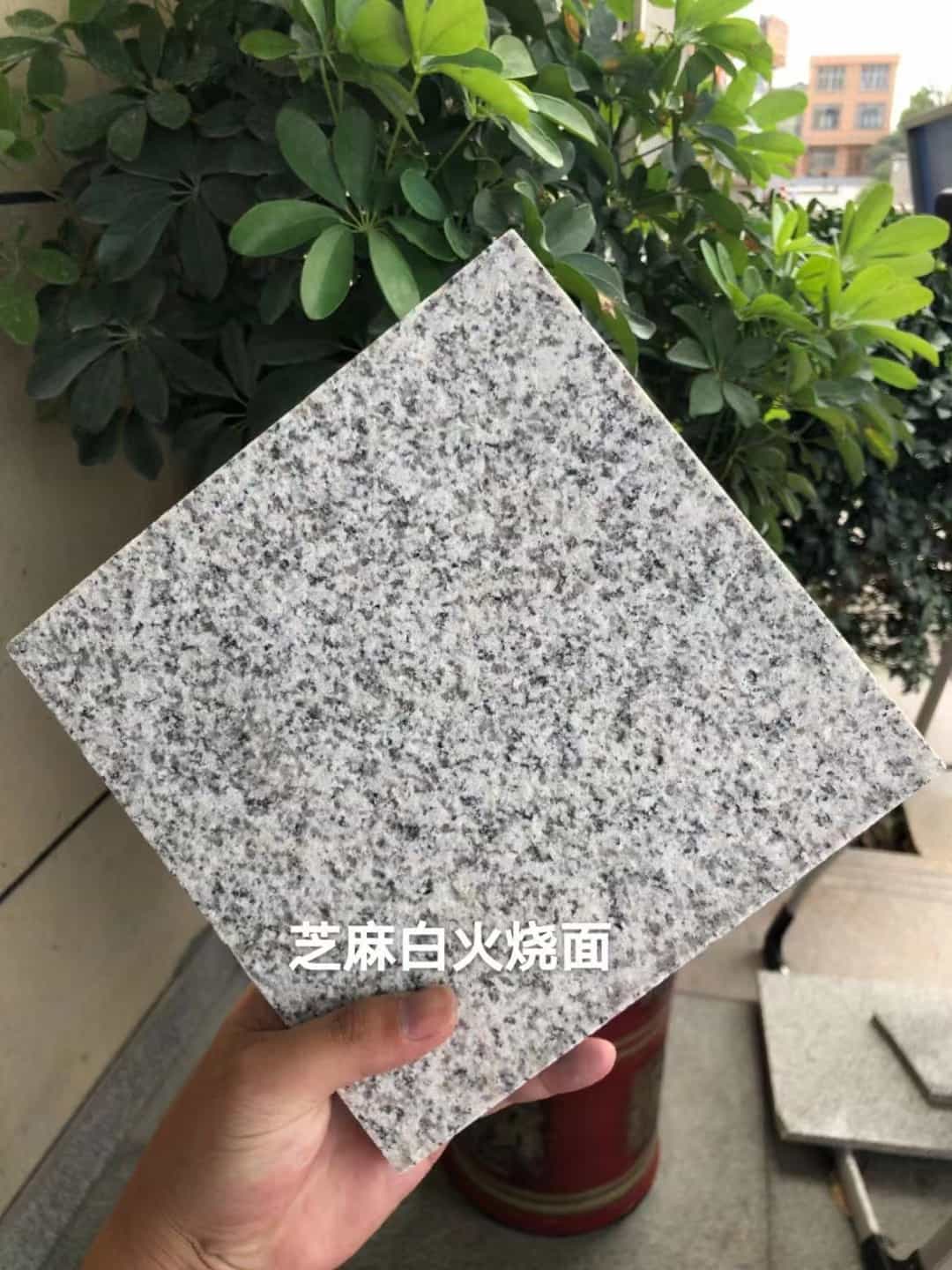 青岛芝麻白火烧面地铺