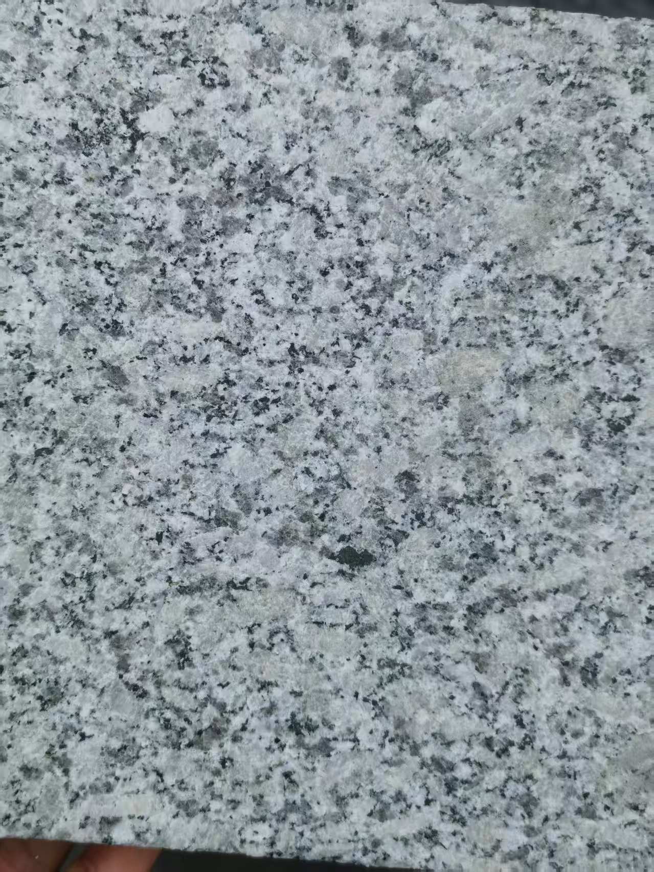 青岛 芙蓉白火烧面