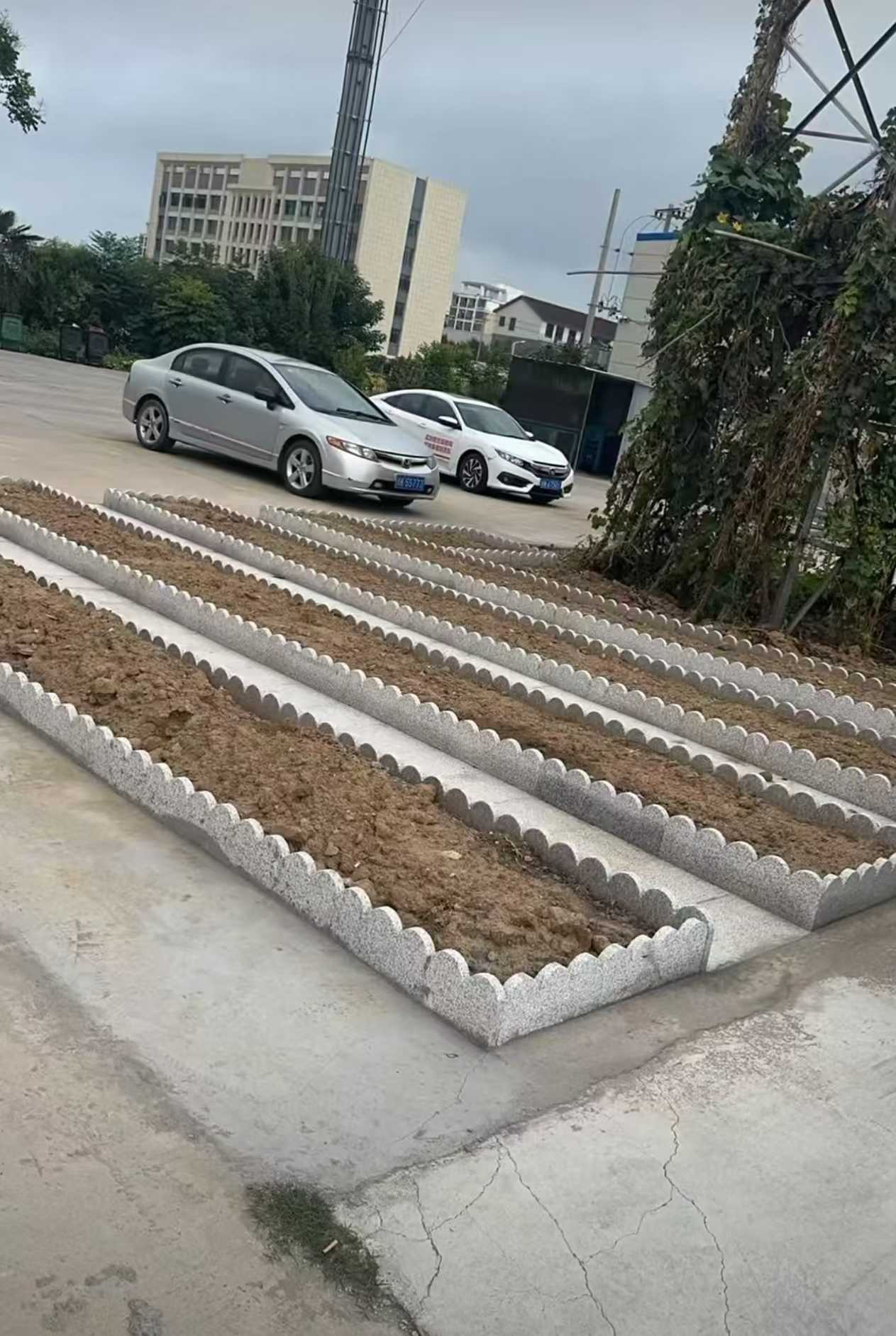 青岛 花边石、花围石、花园石安装效果